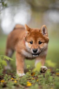 20240405152848 Dsc06415 Edit