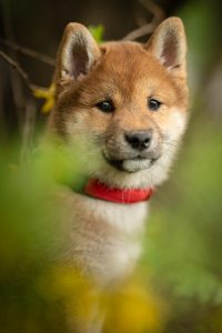 20240405153034 Dsc06455