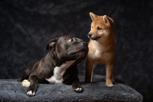 20240430192422 Dsc09593 Edit Hr