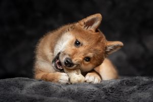 20240430192601 Dsc09597 Hr