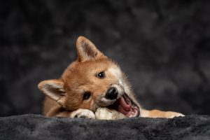 20240430192623 Dsc09600 Hr