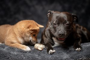 20240430192745 Dsc09605 Hr