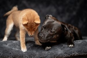 20240430192748 Dsc09606 Hr