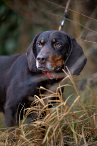 20241225114913 Dsc06153