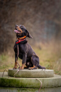 20241225115929 Dsc06220