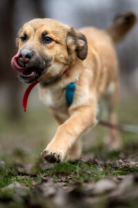 20241225123104 Dsc06238