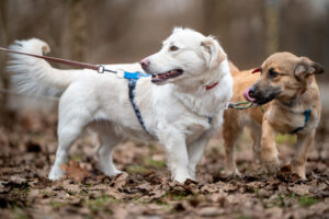 20241225123219 Dsc06240