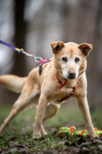 20241225131306 Dsc06527