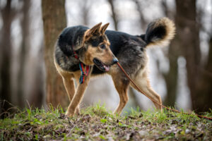 20241225132218 Dsc06560