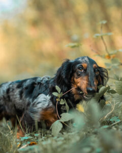 20241012122112 Dsc08542 Edit