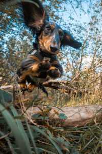 20241012125038 Dsc08701 Enhanced Nr