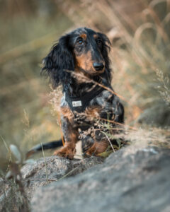 20241012132254 Dsc08918 Edit