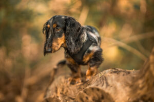 20241012134034 Dsc08992 Edit