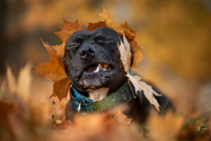 20241028170240 Dsc00410 2