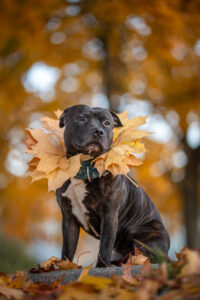 20241028170717 Dsc00488